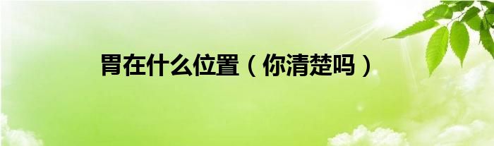 胃在什么位置（你清楚吗）