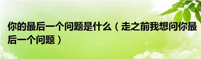 你的最后一个问题是什么(走之前我想问你最后一个问题)
