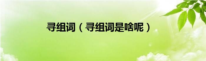 寻组词（寻组词是啥呢）