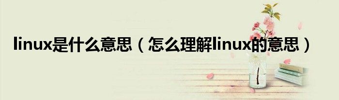 linux是什么意思(怎么理解linux的意思)