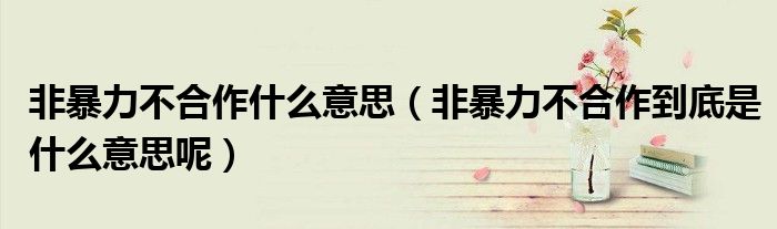 非暴力不合作什么意思(非暴力不合作到底是什么意思呢)