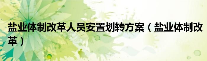 盐业体制改革人员安置划转方案(盐业体制改革)