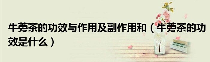 牛蒡茶的功效与作用及副作用和(牛蒡茶的功效是什么)
