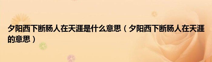 夕阳西下断肠人在天涯是什么意思(夕阳西下断肠人在天涯的意思)