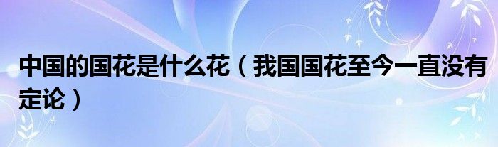 中国的国花是什么花(我国国花至今一直没有定论)