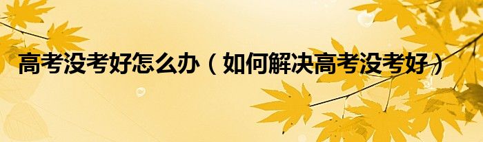 高考没考好怎么办(如何解决高考没考好)