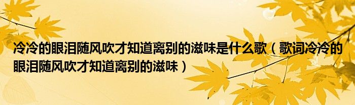 冷冷的眼泪随风吹才知道离别的滋味是什么歌(歌词冷冷的眼泪随风吹才知道离别的滋味)