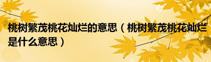 桃树繁茂桃花灿烂的意思(桃树繁茂桃花灿烂是什么意思)