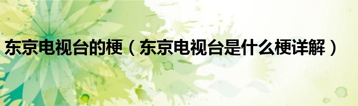 东京电视台的梗(东京电视台是什么梗详解)