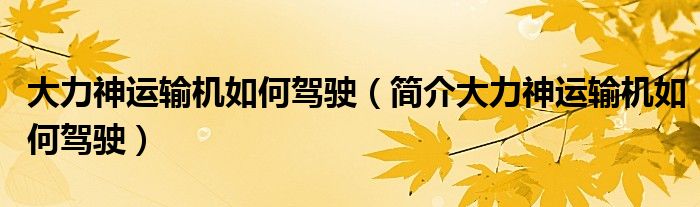 大力神运输机如何驾驶(简介大力神运输机如何驾驶)