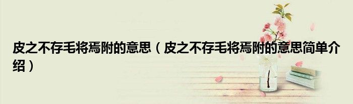 皮之不存毛将焉附的意思(皮之不存毛将焉附的意思简单介绍)