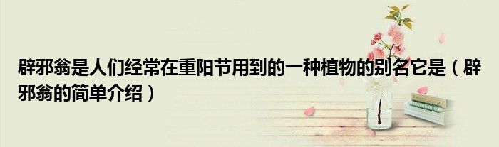 辟邪翁是人们经常在重阳节用到的一种植物的别名它是(辟邪翁的简单介绍)