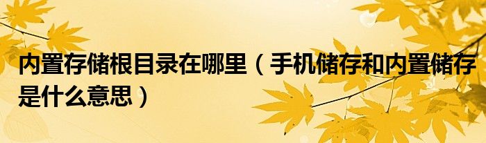 内置存储根目录在哪里(手机储存和内置储存是什么意思)