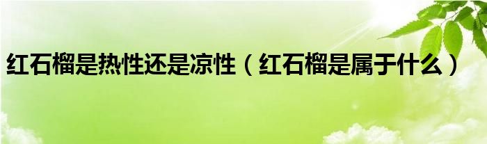 红石榴是热性还是凉性(红石榴是属于什么)