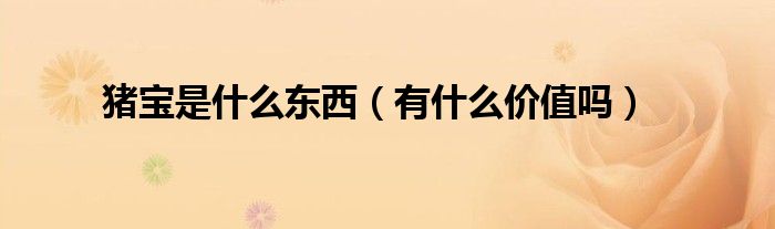 猪宝是什么东西(有什么价值吗)