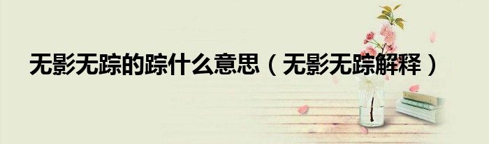 无影无踪的踪什么意思(无影无踪解释)