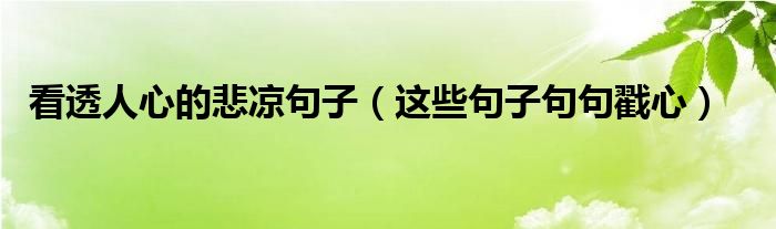 看透人心的悲凉句子(这些句子句句戳心)