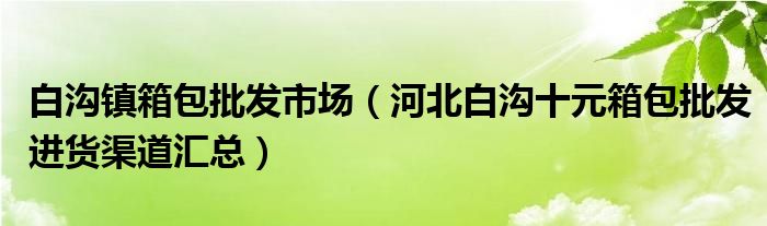 白沟镇箱包批发市场(河北白沟十元箱包批发进货渠道汇总)