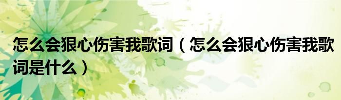 怎么会狠心伤害我歌词(怎么会狠心伤害我歌词是什么)