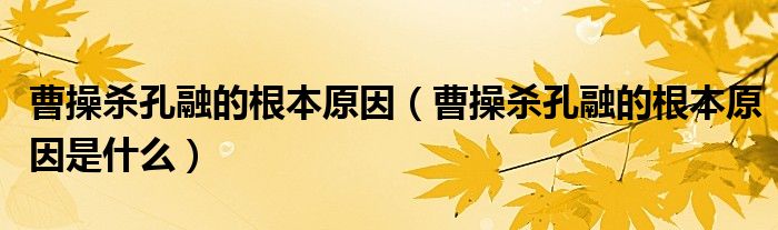 曹操杀孔融的根本原因(曹操杀孔融的根本原因是什么)