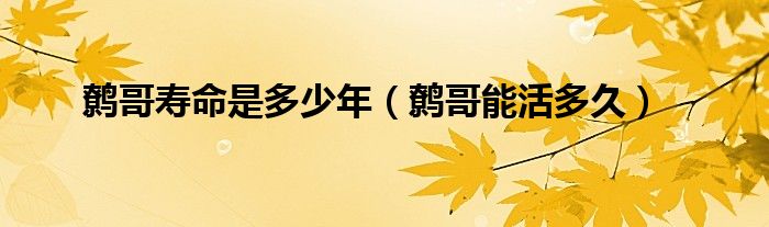鹩哥寿命是多少年(鹩哥能活多久)