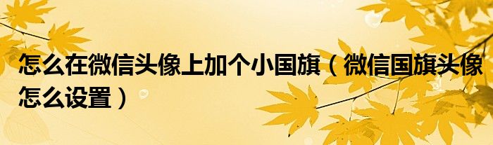怎么在微信头像上加个小国旗(微信国旗头像怎么设置)