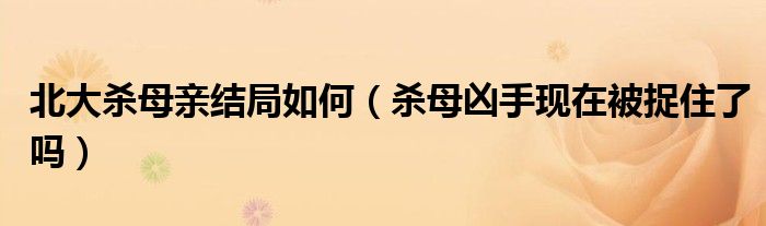 北大杀母亲结局如何(杀母凶手现在被捉住了吗)