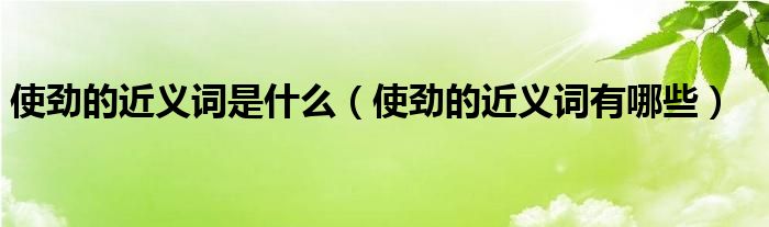 使劲的近义词是什么(使劲的近义词有哪些)