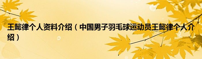 王懿律个人资料介绍(中国男子羽毛球运动员王懿律个人介绍)