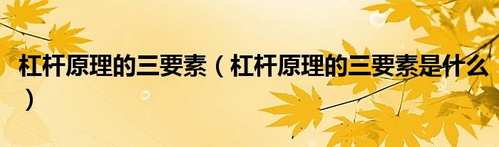杠杆原理的三要素(杠杆原理的三要素是什么)