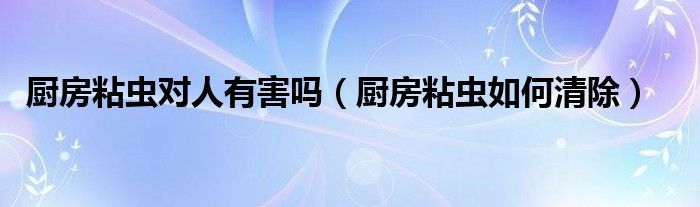 厨房粘虫对人有害吗(厨房粘虫如何清除)