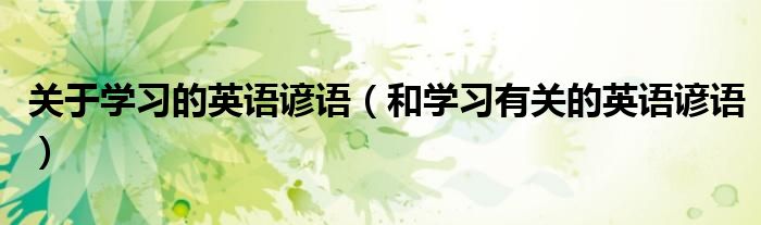 关于学习的英语谚语(和学习有关的英语谚语)