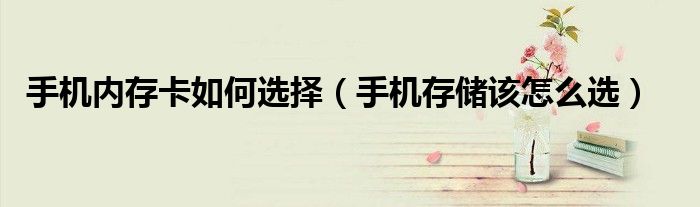 手机内存卡如何选择(手机存储该怎么选)