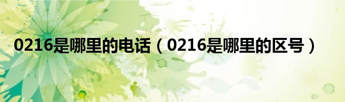 0216是哪里的电话(0216是哪里的区号)