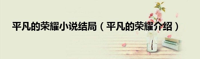 平凡的荣耀小说结局(平凡的荣耀介绍)