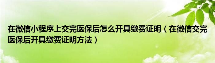 在微信小程序上交完医保后怎么开具缴费证明(在微信交完医保后开具缴费证明方法)