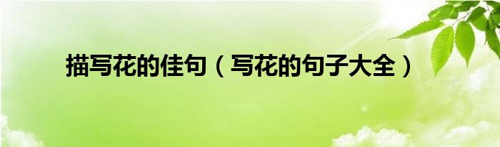 描写花的佳句(写花的句子大全)