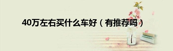 40万左右买什么车好(有推荐吗)