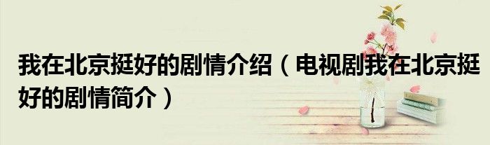 我在北京挺好的剧情介绍(电视剧我在北京挺好的剧情简介)