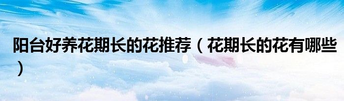 阳台好养花期长的花推荐（花期长的花有哪些）