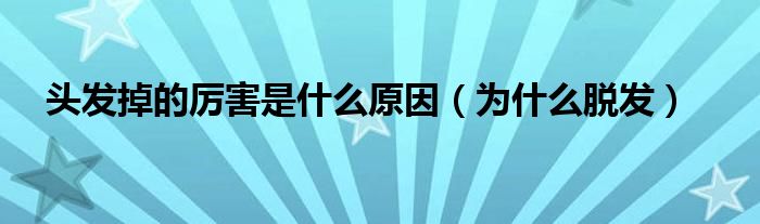 头发掉的厉害是什么原因(为什么脱发)