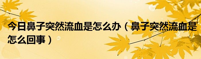 今日鼻子突然流血是怎么办（鼻子突然流血是怎么回事）