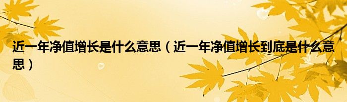 近一年净值增长是什么意思(近一年净值增长到底是什么意思)