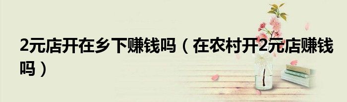 2元店开在乡下赚钱吗(在农村开2元店赚钱吗)