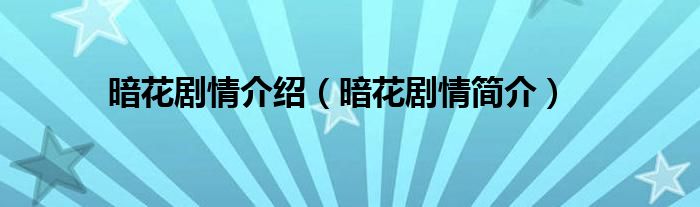 暗花剧情介绍(暗花剧情简介)