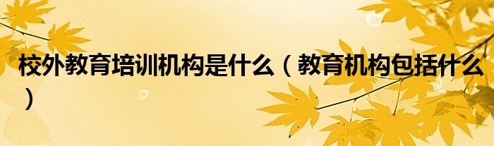 校外教育培训机构是什么(教育机构包括什么)