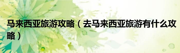 马来西亚旅游攻略(去马来西亚旅游有什么攻略)