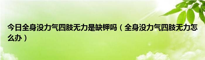 今日全身没力气四肢无力是缺钾吗（全身没力气四肢无力怎么办）