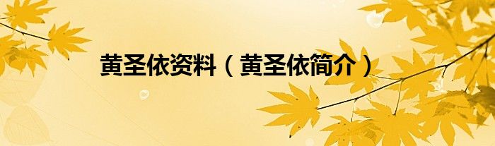 黄圣依资料(黄圣依简介)