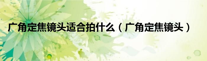 广角定焦镜头适合拍什么(广角定焦镜头)
